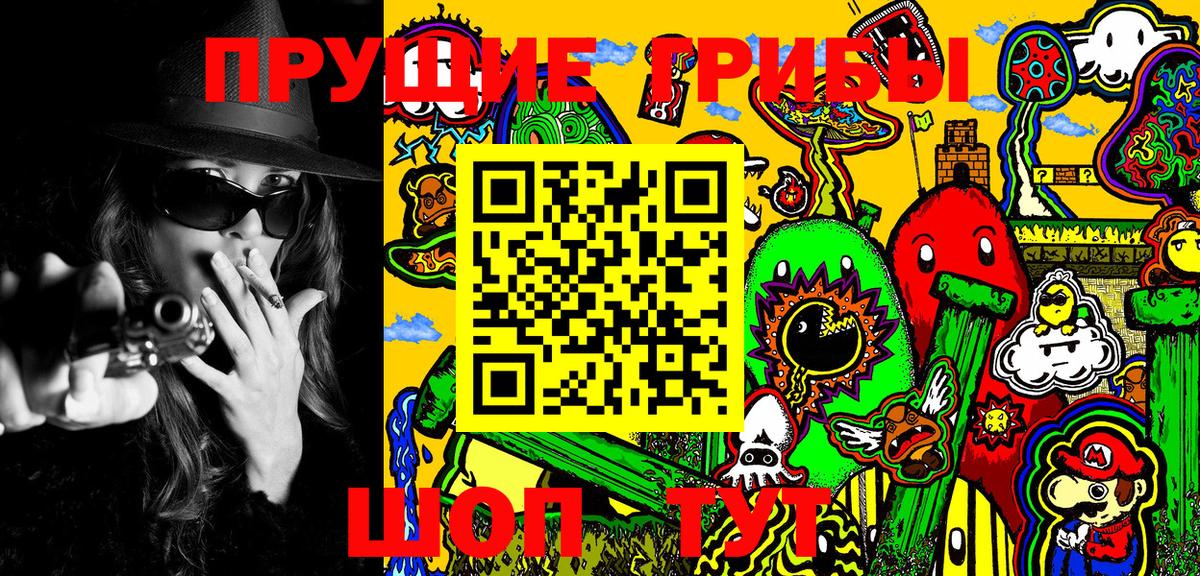 Дедовск  Галлюциногенные грибы прущие грибы  Вход с VPN 